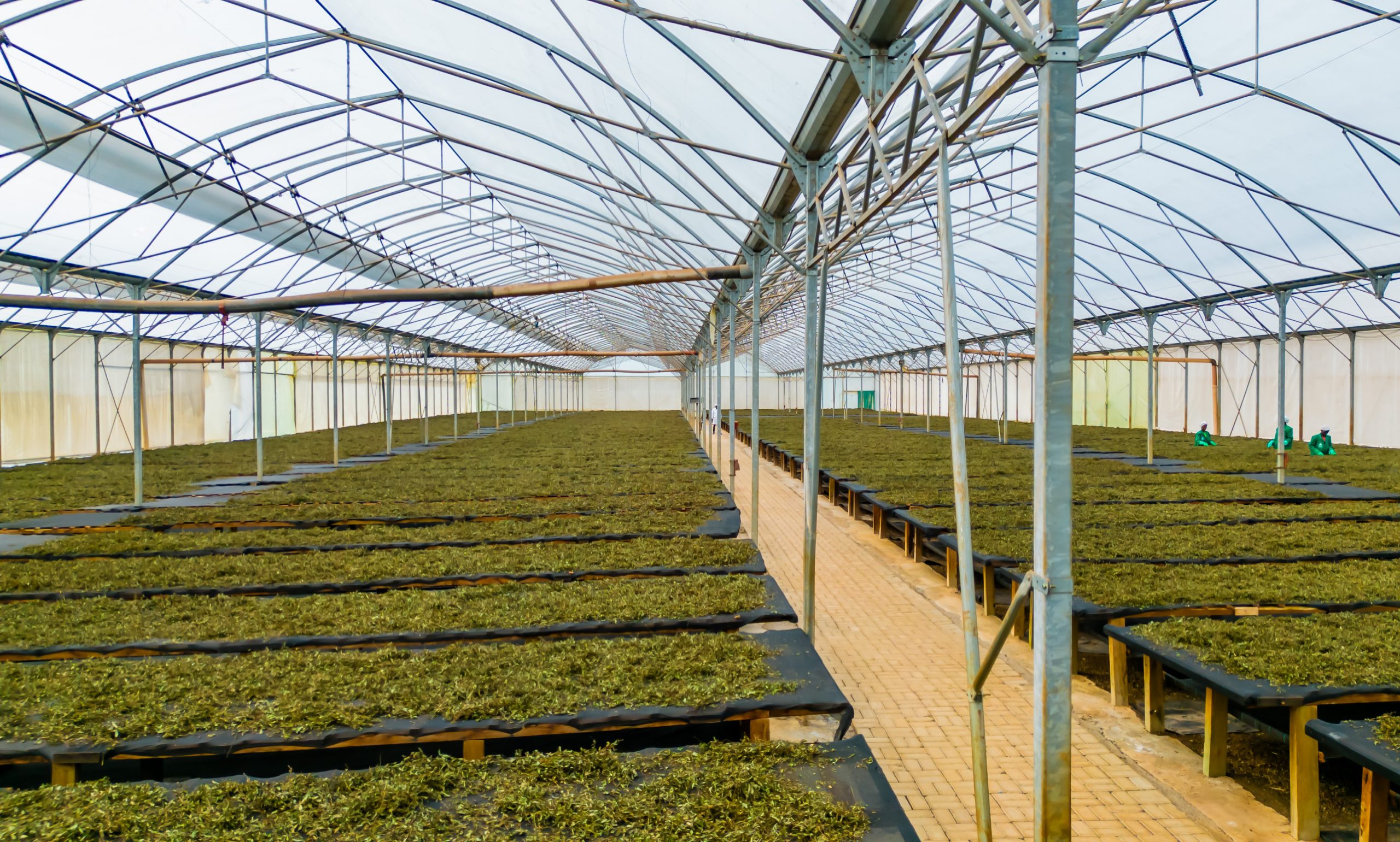 Carbon reduction